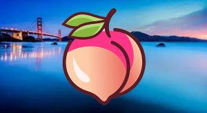蜜桃视频官网
